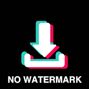 Video Downloader No Watermark - SnapTik